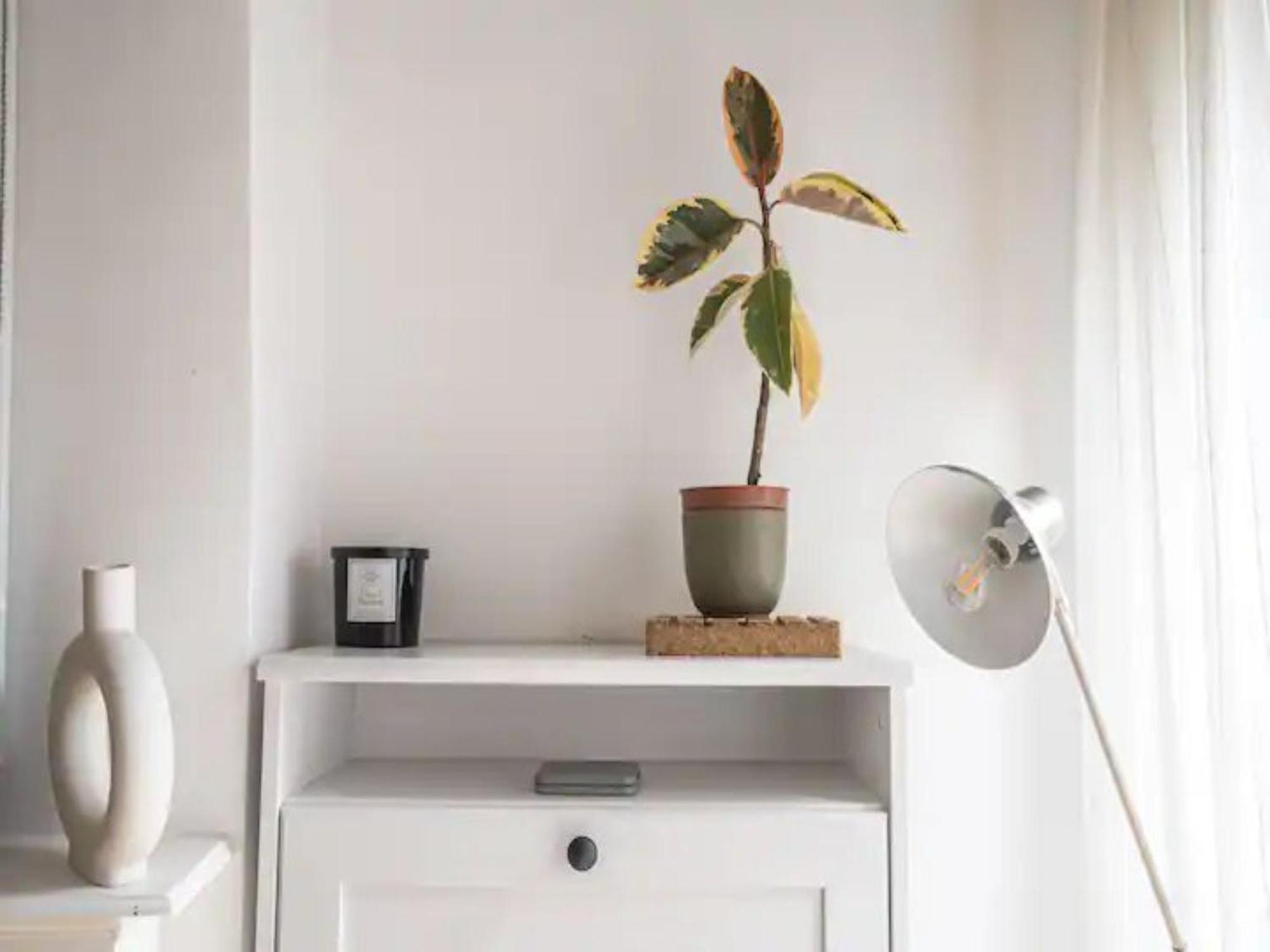 Pass The Keys Hither Ground Floor Flat With Garden * Londres